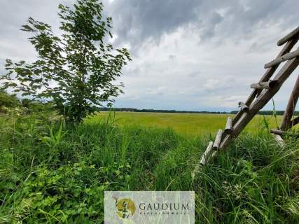 Turystyka nad brzegiem rzeki Obry