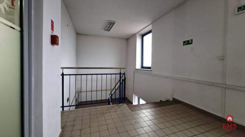 Lokal użytkowy 300 m2 na wynajem