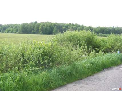 Sprzedam działkę gmina Kosów Lacki
