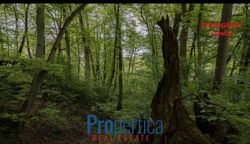 Budowlana. Łąka. Las. Wąwóz. 950m od Rynku 
