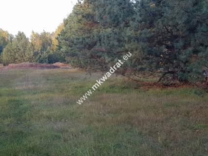 Cicha Makówka 1500 m2 plan zagospodarowania