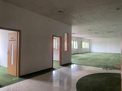 Nieruchomość komercyjna do wynajęcia, 800 m2, Piaseczno