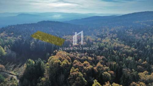 DWIE DZIAŁKI ROLNO-BUDOWLANE, HARKLOWA, GM. SKOŁYSZYN, 75AR