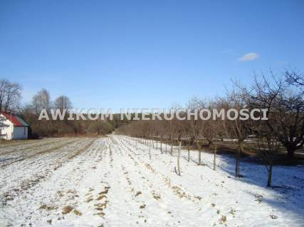 Działka siedliskowa na sprzedaż, 12248 m2, Petrykozy