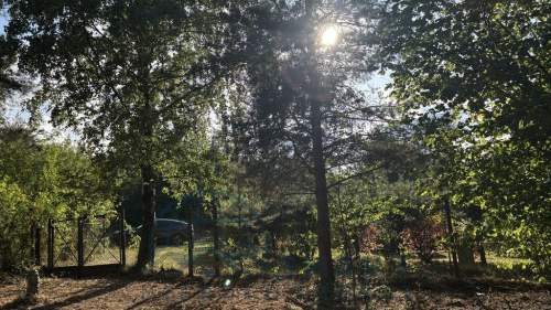 Uzbrojona piękna działka w lesie, FV, 2km od Łodzi