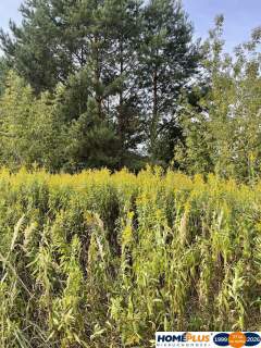 Działka budowlana 869 m , Słupno k. Radzymina