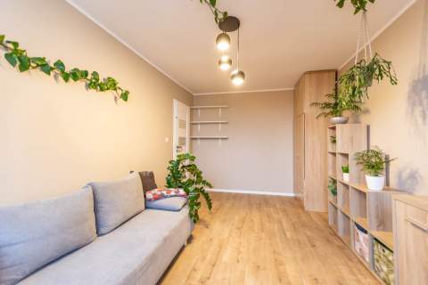 Do wynajęcia 3 pokoje w centrum Zielonej Góry 