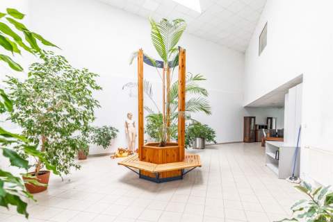 Lokal parter z witryną 560m2 - Lublin, LSM