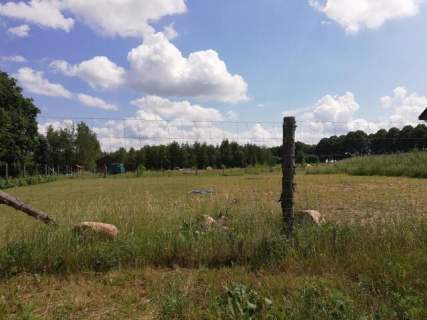 Działka na sprzedaż, 3500 m2, Nieżyn