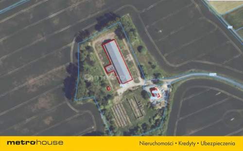 Nieruchomość inwestycyjna w Dłużynie Dolnej 
