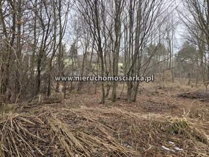 Działka budowlano-zielona, las, strumyk Chrobrego