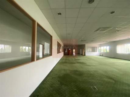 Nieruchomość komercyjna do wynajęcia, 800 m2, Piaseczno