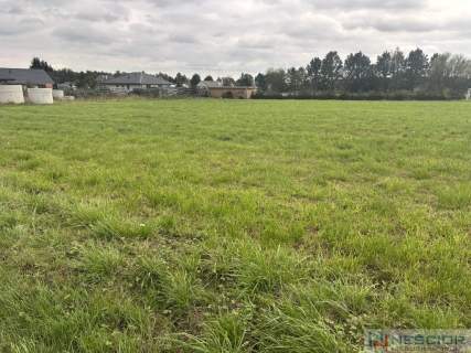 Działka budowlano-zagrodowa  Teodorów, gm. Skórzec