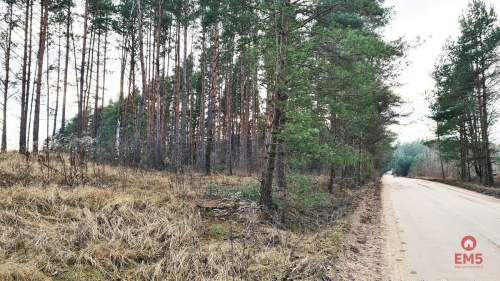 Działka 8500 m2, Jurowce
