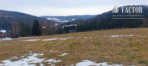 Siary działka budowlano-rolna 0,53 ha 1169S/2026