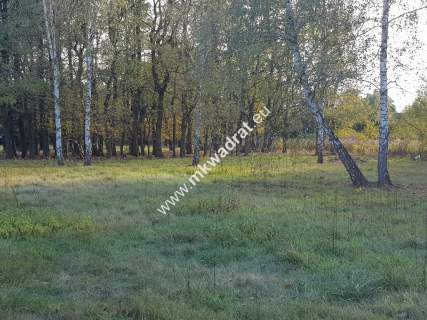  Makówka obok Czrnego Lasu na dom 2 lokal 