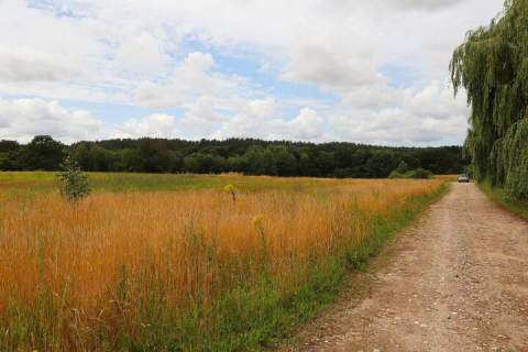 Działka budowlana na sprzedaż, 1500 m2, Charzyno