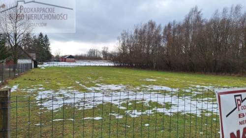 Działka budowlana na sprzedaż, 2000 m2, Świerzowa Polska