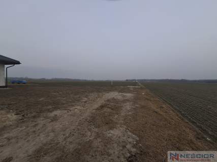 Działka budowlana 1000 m w Boroszkowie