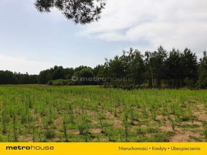 Działka na sprzedaż, 15000 m2, Blinno
