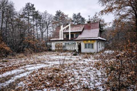 DWA DOMY W CENIE JEDNEGO W JAŚLE NA DZIAŁCE 30 AR 