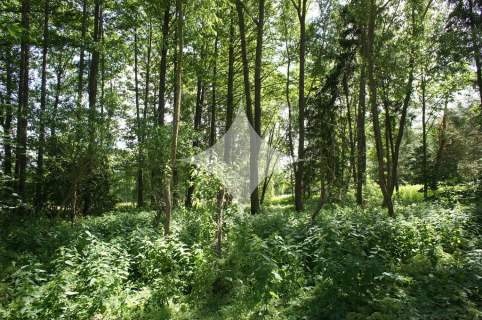 Działka rolno-budowlana nad j. Tajno, Orzechówka