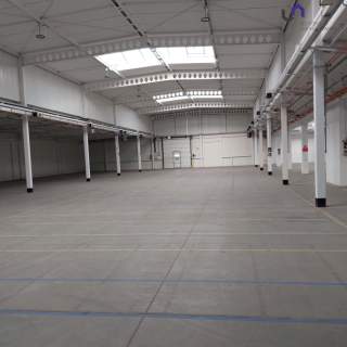 Magazyn do wynajęcia, 1242 m2, Katowice
