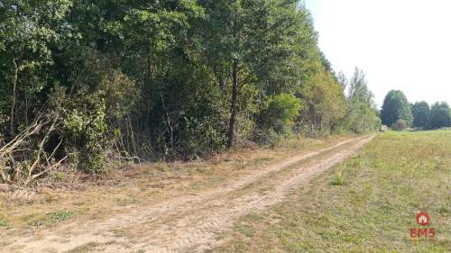 Ciasne. Działka budowlana 5100 m2.
