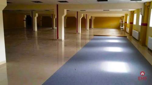 Lokal użytkowy 580 m2