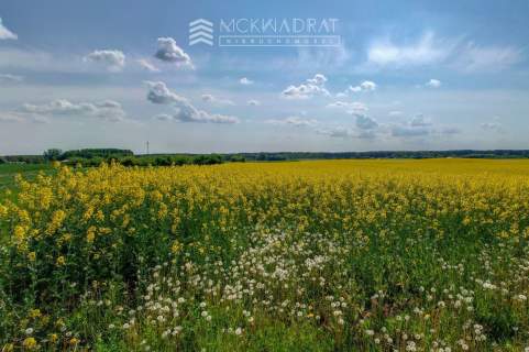 Działka Janowicze Kolonia 3000m2