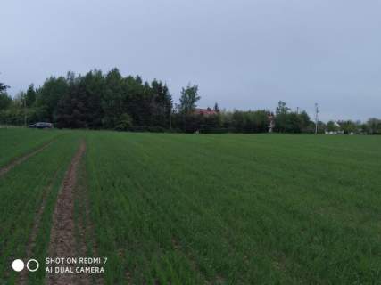 Czernin uzbrojona działka budowlana o pow. 1620 m2