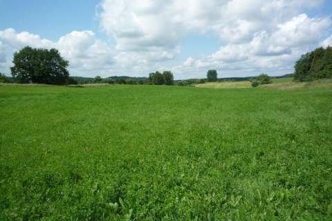 Działka na Mazurach