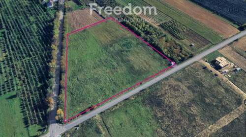 Działka usługowa 2,15 ha   Zawada k. Częstochowy
