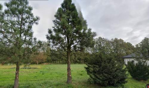 Działka budowlana o pow. 1450 m2, Skarszewek