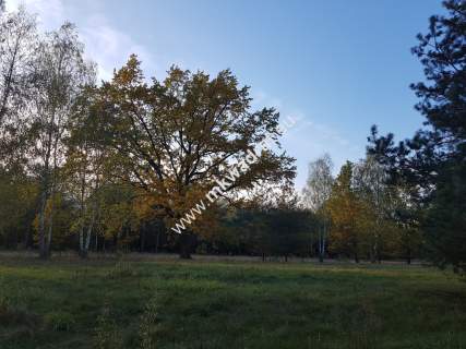 Cicha Makówka 1500 m2 plan zagospodarowania