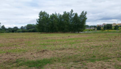 Szczawno-Zdrój sprzedaż działki aukcja elektroniczna