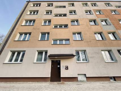 Centrum Piwnica Parking Park miejski 