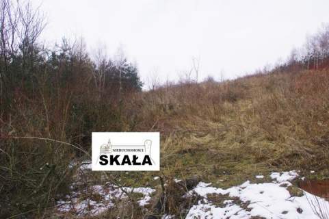 Nowa Wieś, gmina Skała