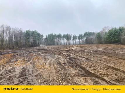 Top lokalizacja S17 4,7 ha pod centrum logistyczne