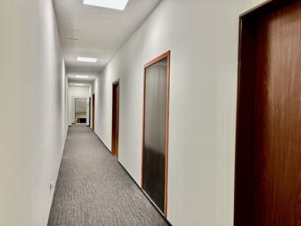 Biuro 12 m do wynajęcia w centrum Łodzi