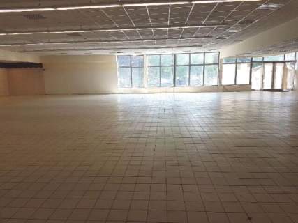 Lokal w centrum Konina - duży budynek 558m2- wynajmę 