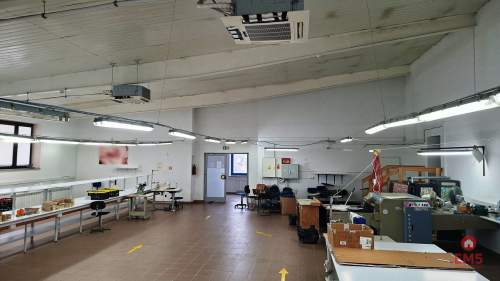 Lokal użytkowy 300 m2 na wynajem