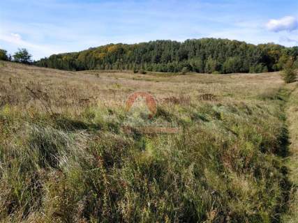 11 ha KLONOWO DOLNE -zabudowa mieszkaniowa
