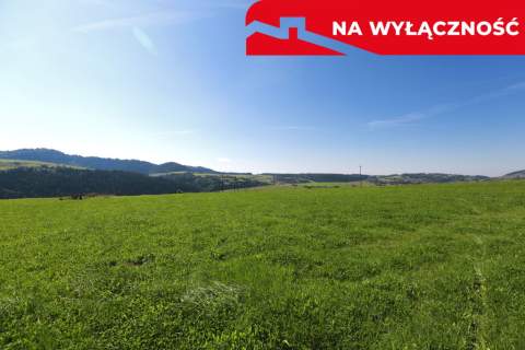 Działa w Grywałdzie z możliwością uzyskania WZ