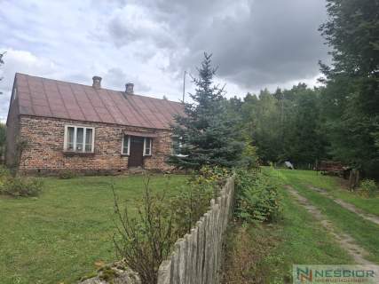 Siedlisko/ Nowy Ratyniec/ Sokołów