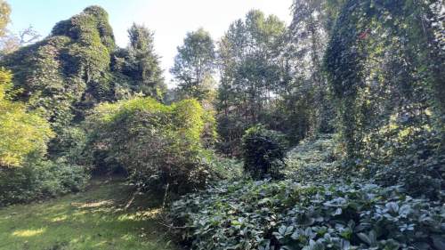 Inwestycyjna działka w Sierczy 39 ar, PUM 1000 m
