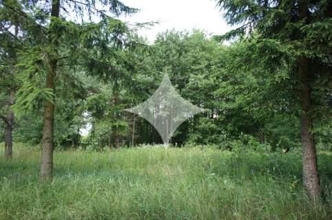 Działka rolno-budowlana nad j. Tajno, Orzechówka