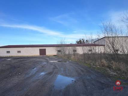 Budynek do wynajęcia 260-520 m2.
