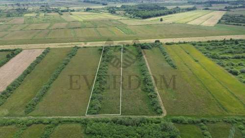 Działka rolna Gnieżdżewo gm. Puck 6000m2