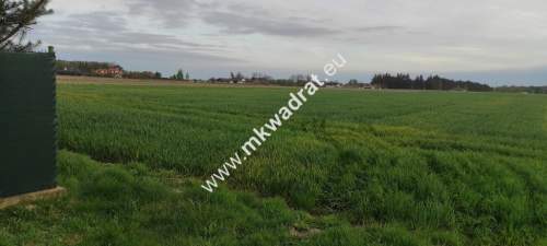 3416m2 Pasikonie k/Kampinosu z warunkami zabudowy 